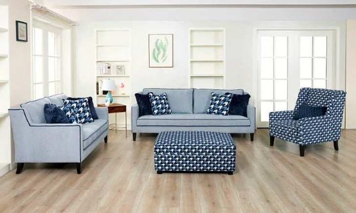 Furniture of America Colindale 2pc Living Room Set in Gray/Blue