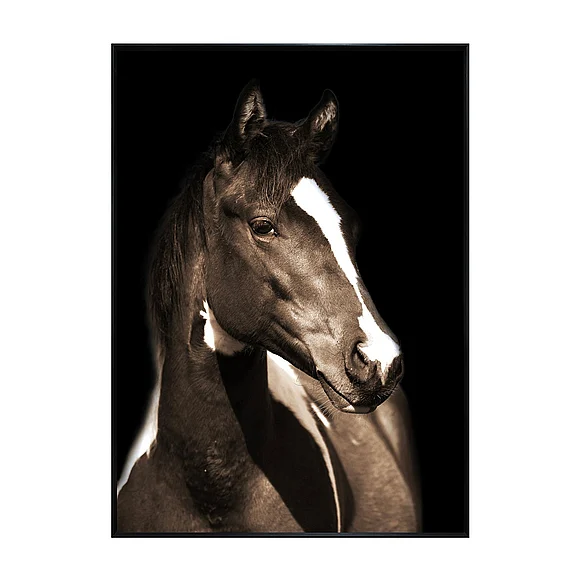 Crestview Collection Fayette 1 Wall Art CVTOP3340