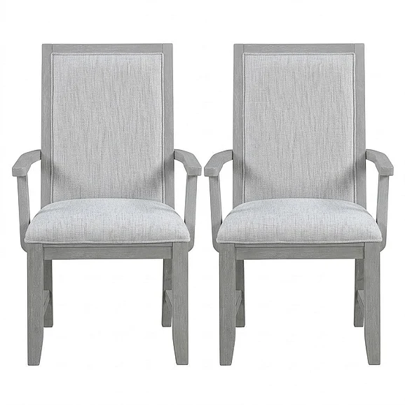 New Classic Fiona Dining Arm Chair (Set of 2) in Mist Gray D2442-25;D2442-25 PROMO