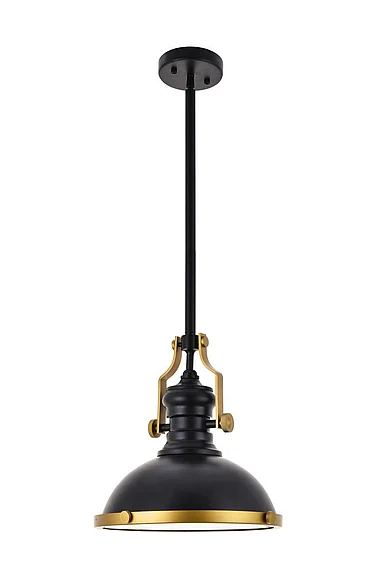 Elegant Eamon 1 Light Matte Black Pendant LD5001D13BRB