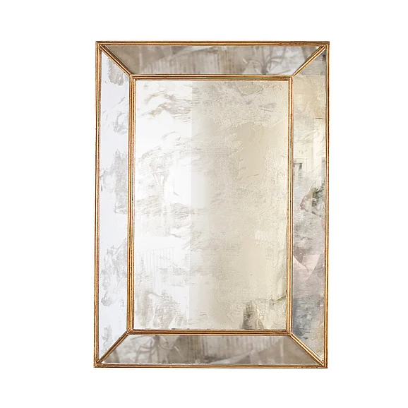 Worlds Away Dion Rectangular Ant Mirror DION G