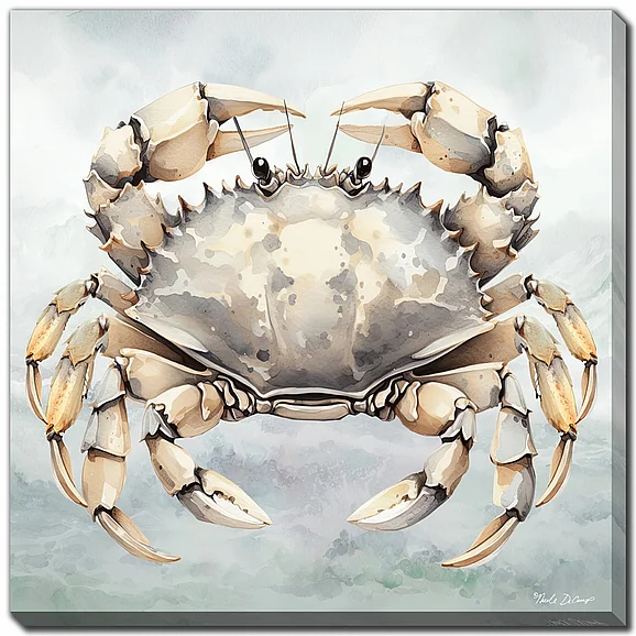 Streamline Art Cape Cod Crab E783859