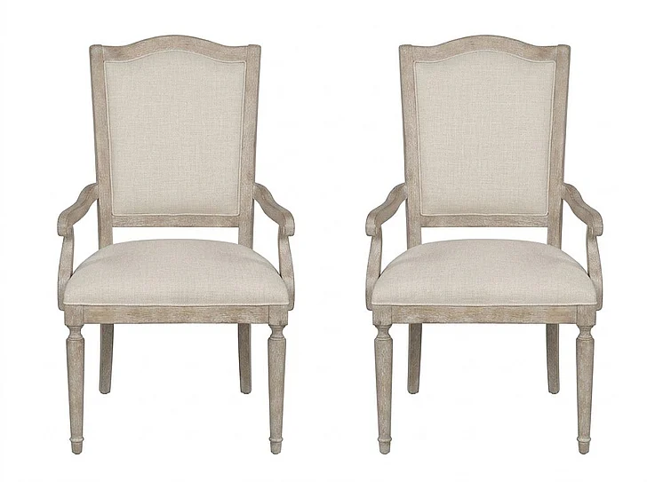 American Drew Cambric Daniella Upholstered Arm Chair in Breve (Set of 2) 309-623B PROMO