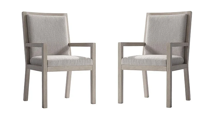 Bernhardt Prado Arm Chair (Set of 2) in Tawny 324X42A