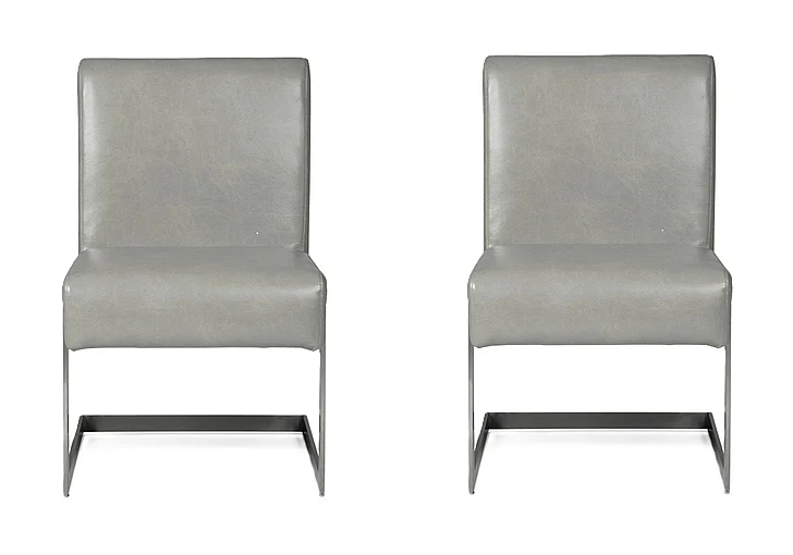Modus Furniture Coral Chair in Carrara 3N2563 (Set of 2)