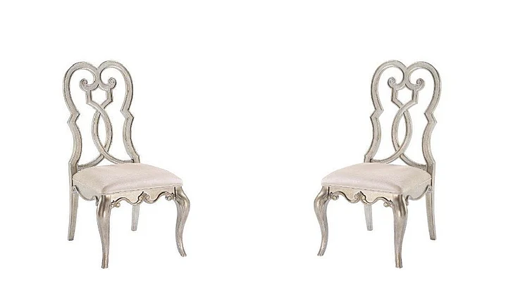 ACME Esteban Side Chair (Set of 2) in Antique Champagne 62202