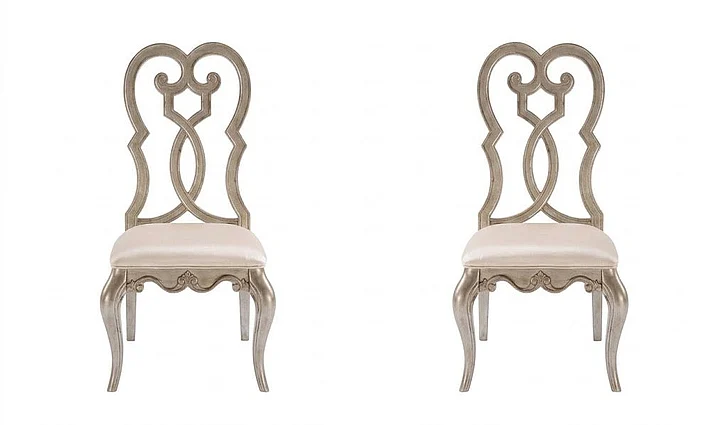 ACME Esteban Side Chair (Set of 2) in Antique Champagne 62202