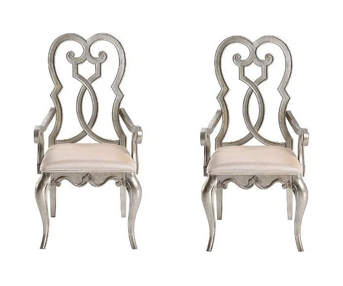ACME Esteban Arm Chair (Set of 2) in Antique Champagne 62203