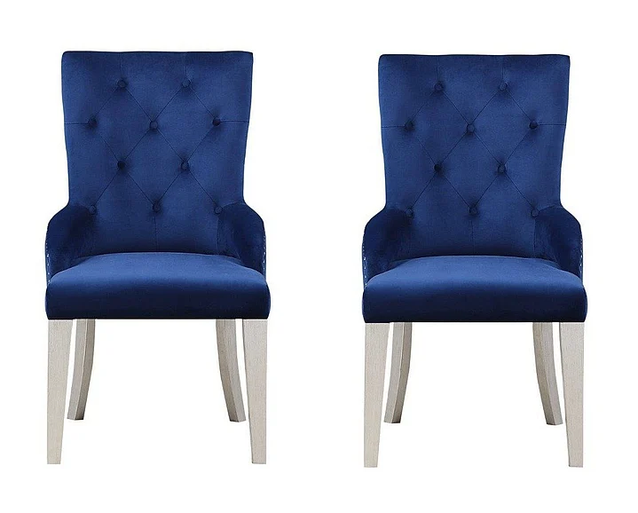 ACME Varian Side Chair (Set of 2) in Antique Platinum 66162
