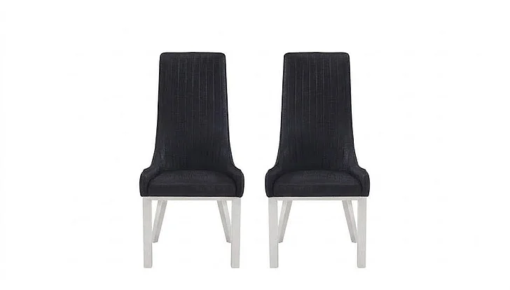 ACME Gianna Side Chair (Set of 2) in Black & Stainless Steel 72474