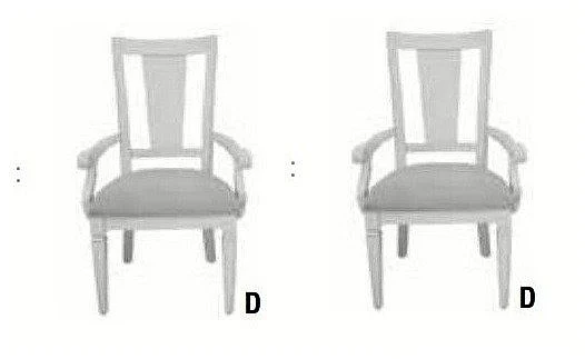 ACME Katia Arm Chair in Gray DN02488 (Set of 2)