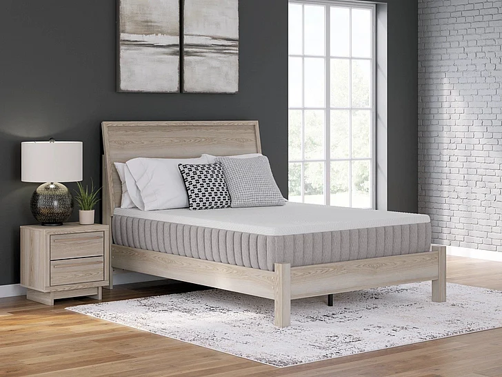 Terra Sleep Medium King Mattress in White M52341
