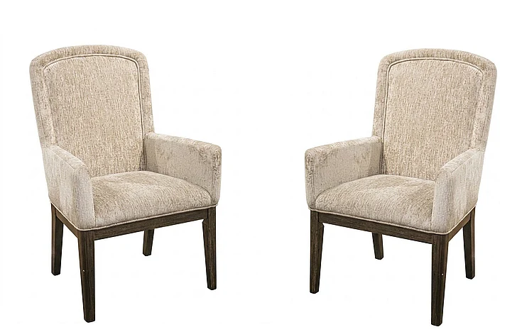 Chisea Dining Arm Chair (Set of 2) in Dark Brown NCD889-02A