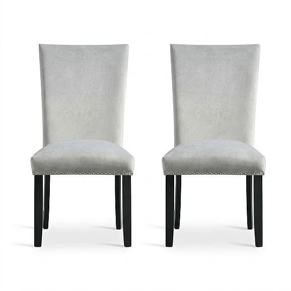 Elements International Francesca Side Chair (Set of 2) in Grey CFC300VSC