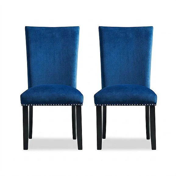 Elements International Francesca Side Chair (Set of 2) in Blue CFC700VSC