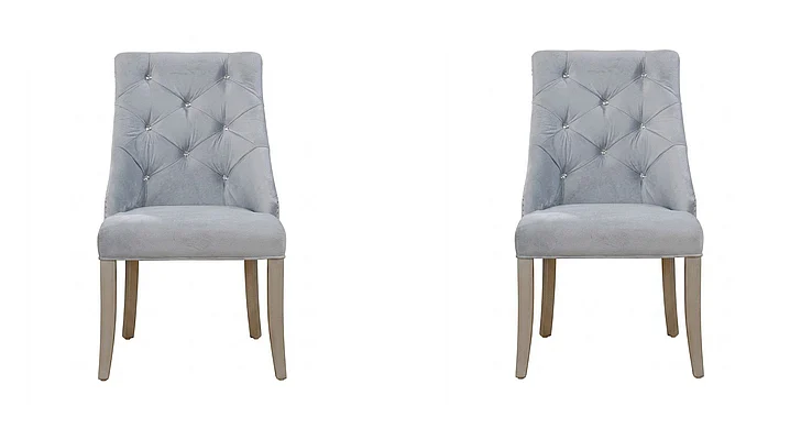 Furniture of America Diocles Side Chair in Silver (Set of 2) CM3020SC-2PK