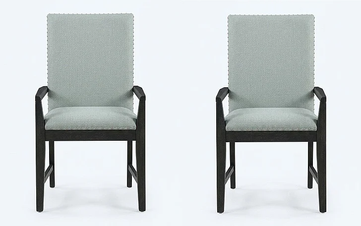 Elements International Donovan Arm Chair (Set of 2) DDV100AC