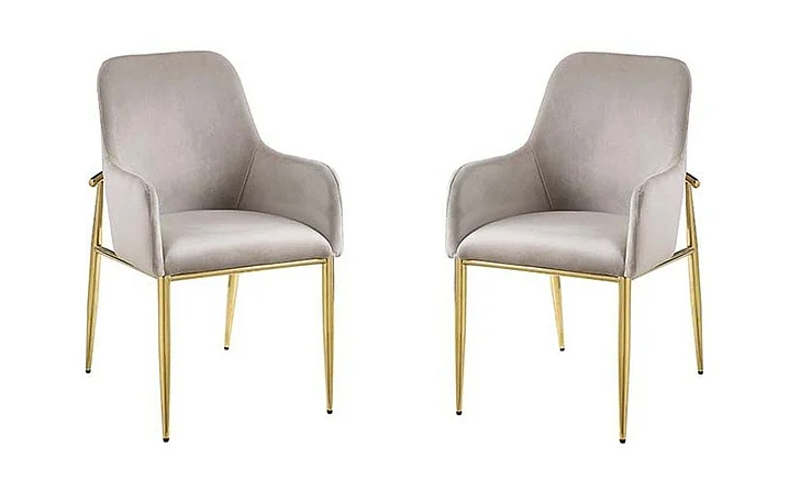 Acme Furniture Barnard Side Chair (Set of 2) in Mirrored Gold DN00220
