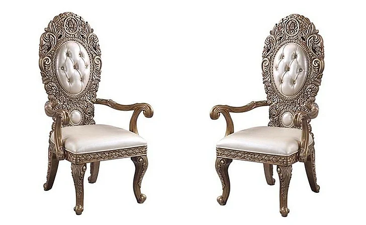 Acme Furniture Constantine Arm Chair (Set of 2) in Brown & Gold DN00479
