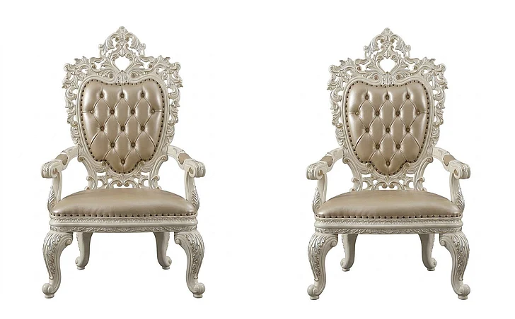 Acme Furniture Vanaheim Side Chair (Set of 2) in Antique White DN00679