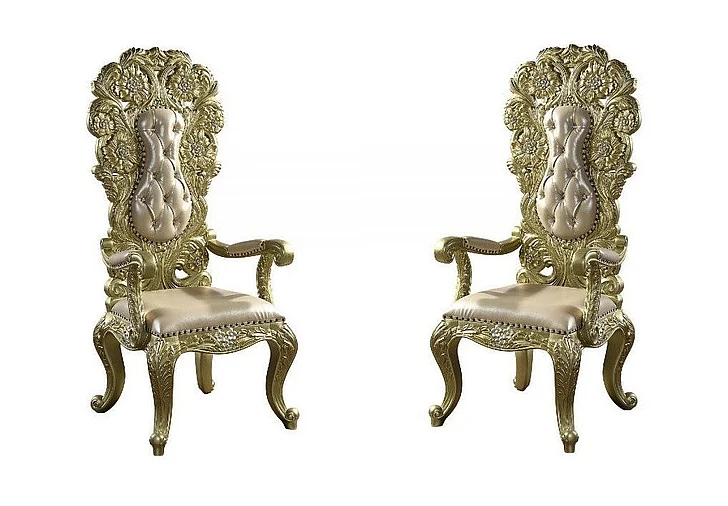 ACME Cabriole Arm Chair in Gold DN01484 (Set of 2)