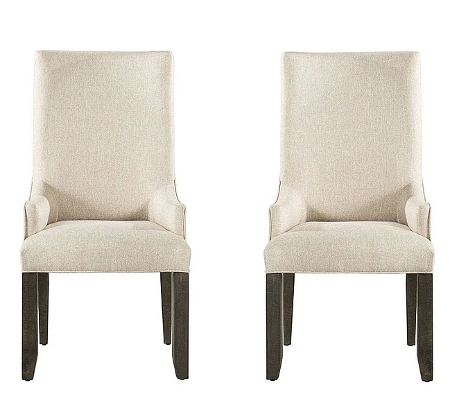 Elements International Stone Upholstered Side Chair (Set of 2) in Cream/Dark Ash DST100PC