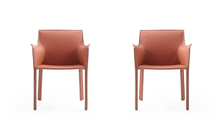 Manhattan Comfort Paris Clay Saddle Leather Armchair (Set of 2) 2-DC034-CL