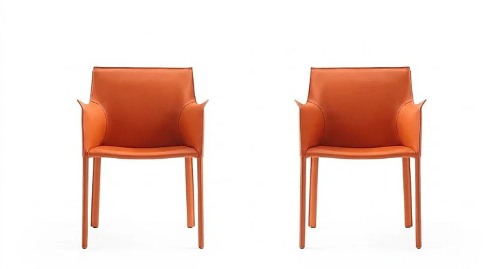 Manhattan Comfort Paris Coral Saddle Leather Armchair (Set of 2) 2-DC034-CO