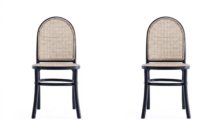 Manhattan Comfort Paragon Cane Back Wood Upholstered Dining Chair in Black and Gray - Set of 2 DCCA12-BK