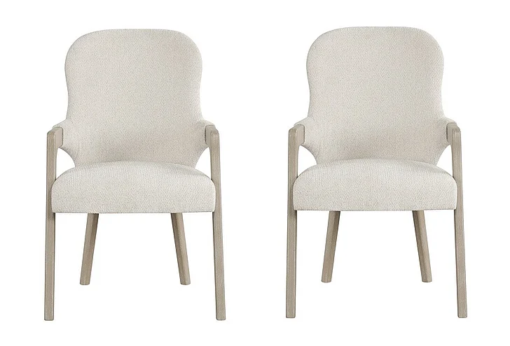 New Classic Gwendolyn Upholstered Arm Chair in Cerused Taupe (Set of 2) D4128-25