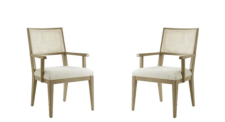 Theodore Alexander Catalina Dining Arm Chair in Dune TA41016.1CGN (Set of 2) CLOSEOUT