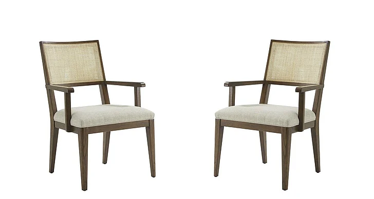 Theodore Alexander Catalina Dining Arm Chair in Earth TA41016.1CIR (Set of 2) CLOSEOUT