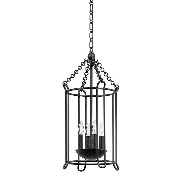 Troy Lighting Lassen Lantern F4614-BI