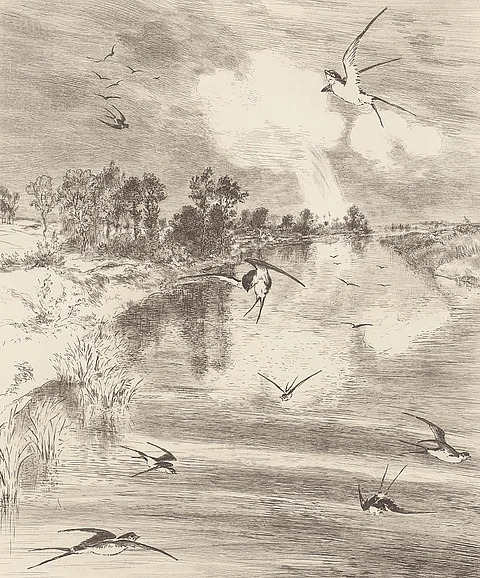 York Eijffinger Hirundo Cream Wall Mural 366101