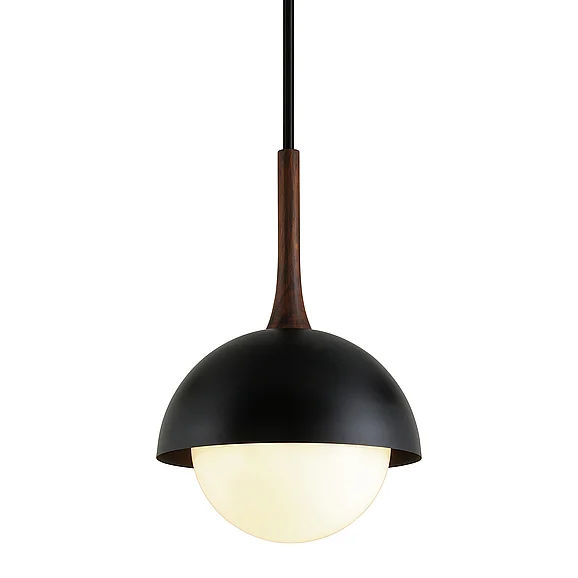 Troy Lighting Cadet Pendant F7645-SBK