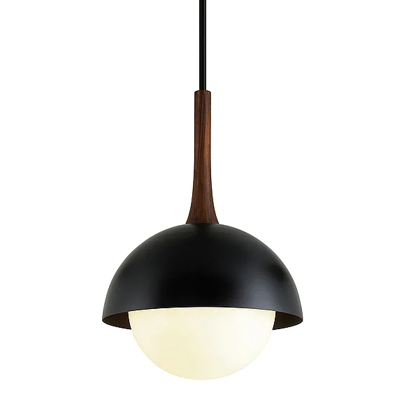 Troy Lighting Cadet Pendant F7646-SBK