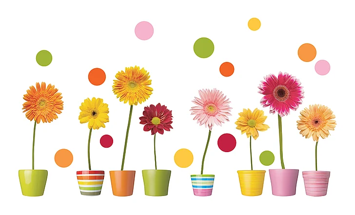 York Crearreda Gerberas Flowers Window Decals Set of 42 TCR-64003