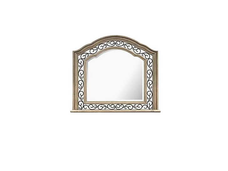 Magnussen Furniture Marisol Shaped Mirror in Fawn/Graphite B5132-45