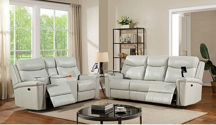 Furniture of America Florine 2pc Reclining Living Room Set in Light Gray