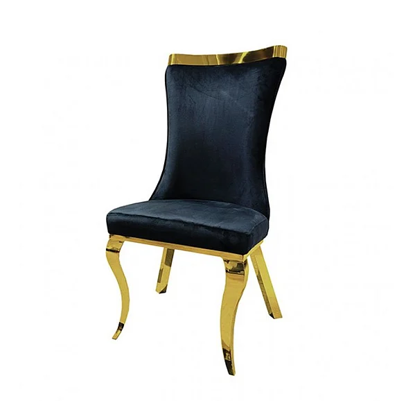 Furniture of America Basilicata Side Chair in Black and Gold FM33013BK-SC-2PK (Set of 2)