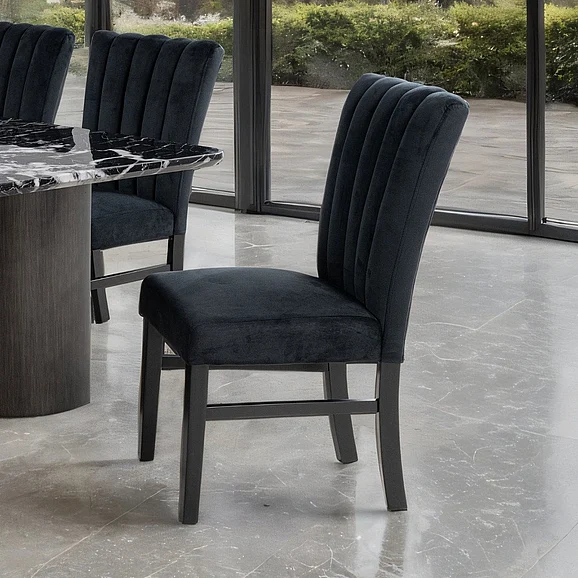 Furniture of America Selsey Uph Side Chair (Set of 2) in Black FM34005BK-SC-2PK