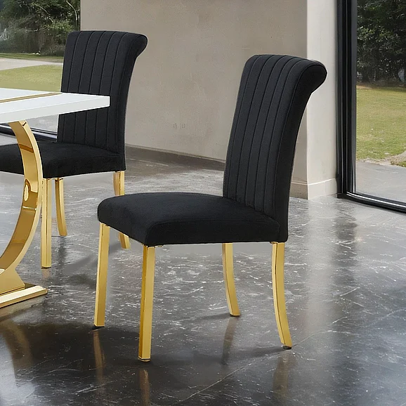 Furniture of America Holstebro Black Side Chair (Set of 2) in Gold Frame FM37007GB-SC-2PK