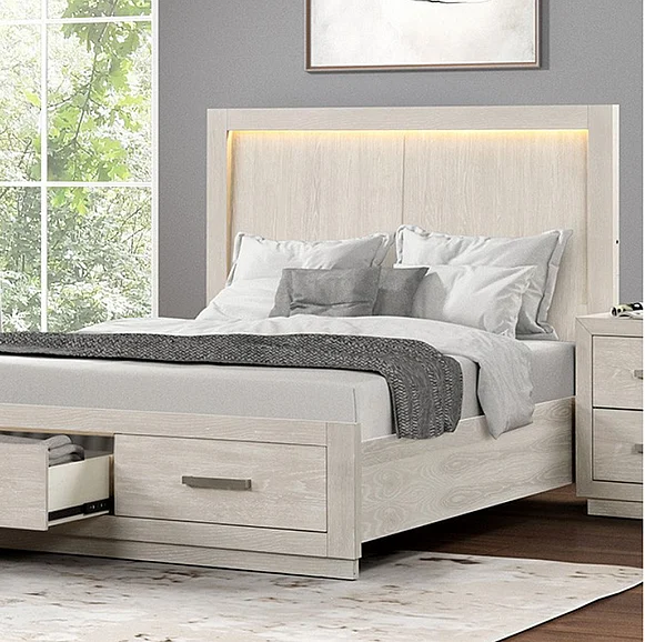 Furniture of America Wellingborough Queen Panel Storage Bed in Light Gray
