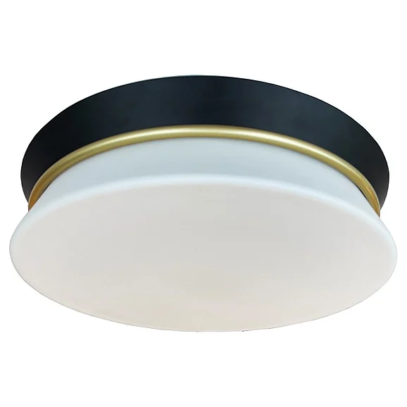 Vinci Lighting Flush Mount Ceiling Lighting in Satin Brass/Black FM8039SB/BK