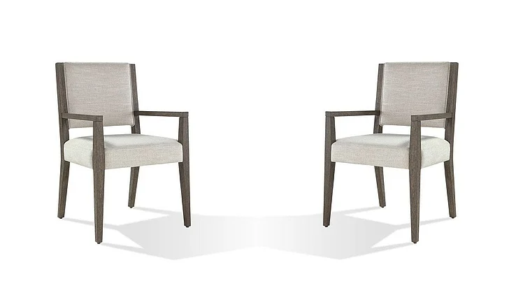 Modus Furniture Oakland Upholstered Arm Chair in Brunette FQBM64B (Set of 2)