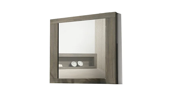 Galaxy Home Gem Mirror in Gray 601955554756