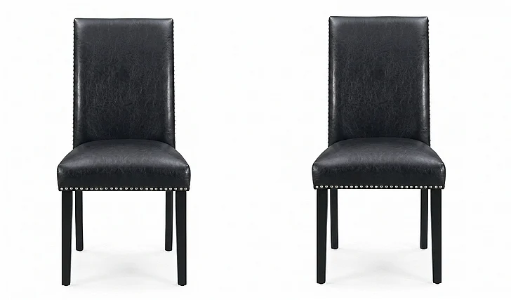 Elements International Francesca Meridian Side Chair (Set of 2) in Black DMI100SC