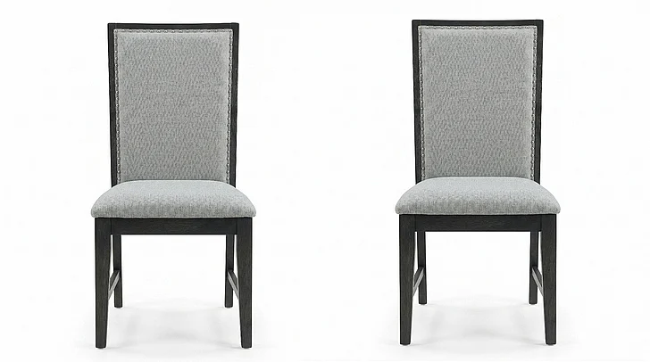 Elements International Donovan Side Chair (Set of 2) DDV100SC