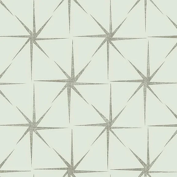 York Grandmillennial E29 Evening Star Wallpaper in Silver GR5943 (Double Roll) FedEx/UPS