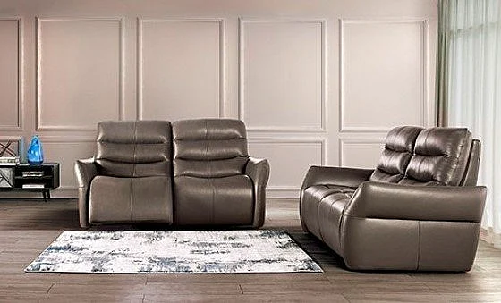 Furniture of America Granucci 2pc Reclining Living Room Set in Gray